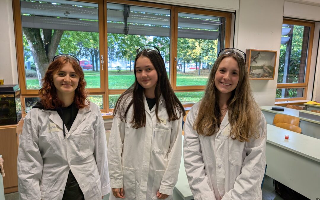 MINT-Schülerlabore: Junge Talente begeistern junge Entdecker