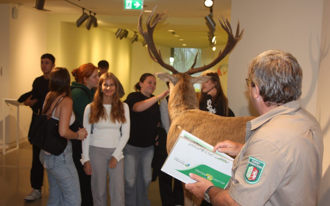 Nationalparks in NRW und Projekttage Demokratieförderung 2025
